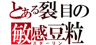 とある裂目の敏感豆粒（スターリン）