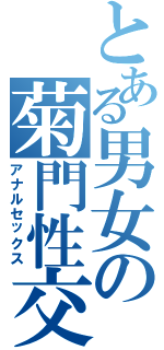 とある男女の菊門性交（アナルセックス）