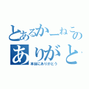 とあるかーねこのありがとう（本当にありがとう）