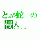 とある蛇の侵入（スネーク）