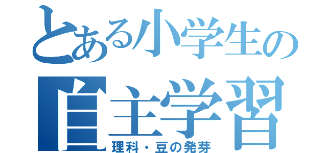 とある小学生の自主学習（理科・豆の発芽）