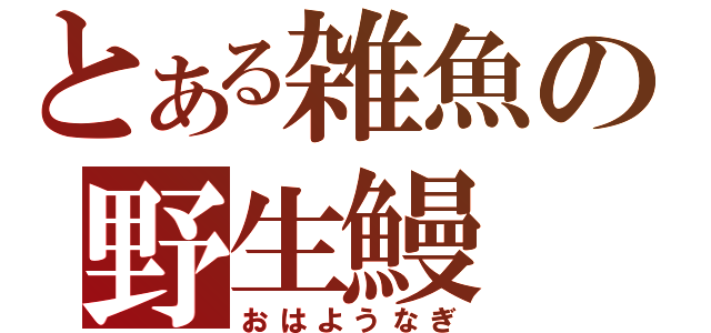 とある雑魚の野生鰻（おはようなぎ）