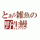 とある雑魚の野生鰻（おはようなぎ）