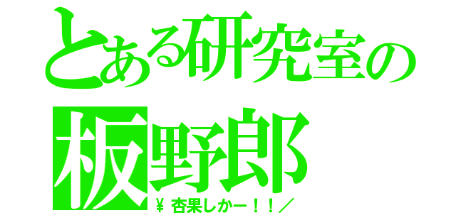 とある研究室の板野郎（\\杏果しかー！！／）