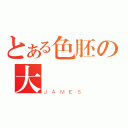 とある色胚の大鶏鶏（ＪＡＭＥＳ）