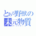 とある野獣の未元物質（ダークマター）