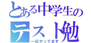 とある中学生のテスト勉強（一応やってます）