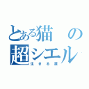 とある猫の超シエル（生きる源）