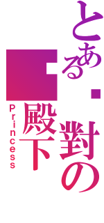 とある絕對の姬殿下（Ｐｒｉｎｃｅｓｓ）