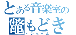 とある音楽室の鼈もどき（トンちゃん）