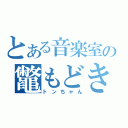 とある音楽室の鼈もどき（トンちゃん）