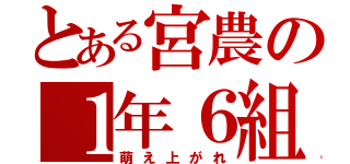 とある宮農の１年６組（萌え上がれ）