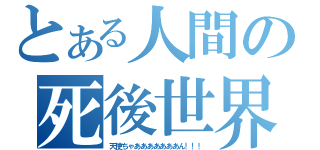 とある人間の死後世界（天使ちゃあああああああん！！！）