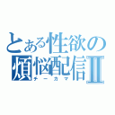 とある性欲の煩悩配信Ⅱ（チーカマ）