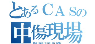 とあるＣＡＳの中傷現場（Ｔｈｅ ｂｕｌｌｙｉｎｇ ｉｎ ＣＡＳ）