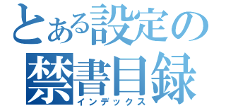 とある設定の禁書目録（インデックス）