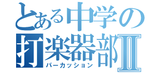 とある中学の打楽器部員Ⅱ（パーカッション）