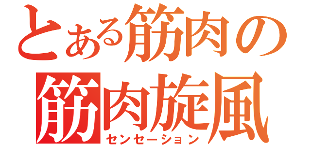 とある筋肉の筋肉旋風（センセーション）