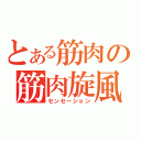 とある筋肉の筋肉旋風（センセーション）