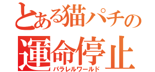 とある猫パチの運命停止（パラレルワールド）