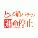 とある猫パチの運命停止（パラレルワールド）