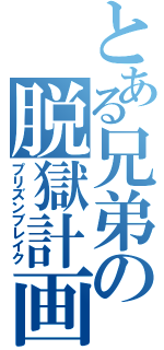 とある兄弟の脱獄計画（プリズンブレイク）