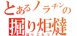 とあるノラチンの掘り炬燵（ほりごたつ）