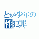 とある少年の性犯罪（レイプ）