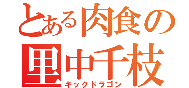 とある肉食の里中千枝（キックドラゴン）