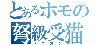 とあるホモの弩級受猫（ドネカン）