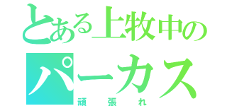 とある上牧中のパーカス（頑張れ）