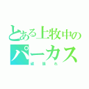 とある上牧中のパーカス（頑張れ）