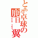 とある卓球の鹿目　翼（かのめ　つばさ）