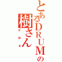 とあるＤＲＵＭＳの樹さん（が好き）