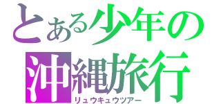 とある少年の沖縄旅行（リュウキュウツアー）