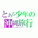 とある少年の沖縄旅行（リュウキュウツアー）