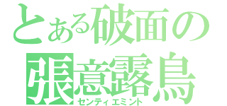 とある破面の張意露鳥（センティエミント）