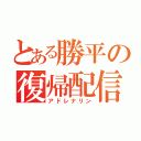 とある勝平の復帰配信（アドレナリン）