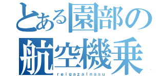 とある園部の航空機乗り（ｒｅｉｇａｚａｉｎａｓｕ）