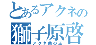 とあるアクネの獅子原啓太（アクネ菌の王）