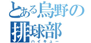 とある烏野の排球部（ハイキュー）