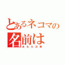 とあるネコマの名前は（あ　な　た　次　第）