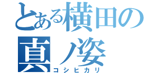 とある横田の真ノ姿（コシヒカリ）