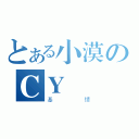 とある小漠のＣＹ（基情）