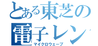 とある東芝の電子レンジ（マイクロウェーブ）