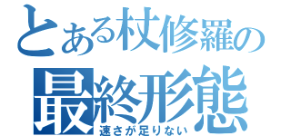 とある杖修羅の最終形態（速さが足りない）