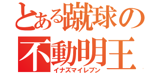 とある蹴球の不動明王（イナズマイレブン）