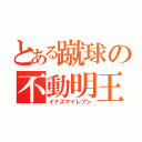 とある蹴球の不動明王（イナズマイレブン）