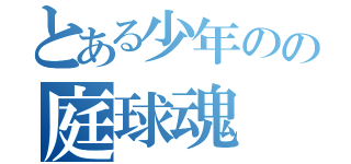 とある少年のの庭球魂（）