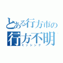 とある行方市の行方不明（ミッシング）